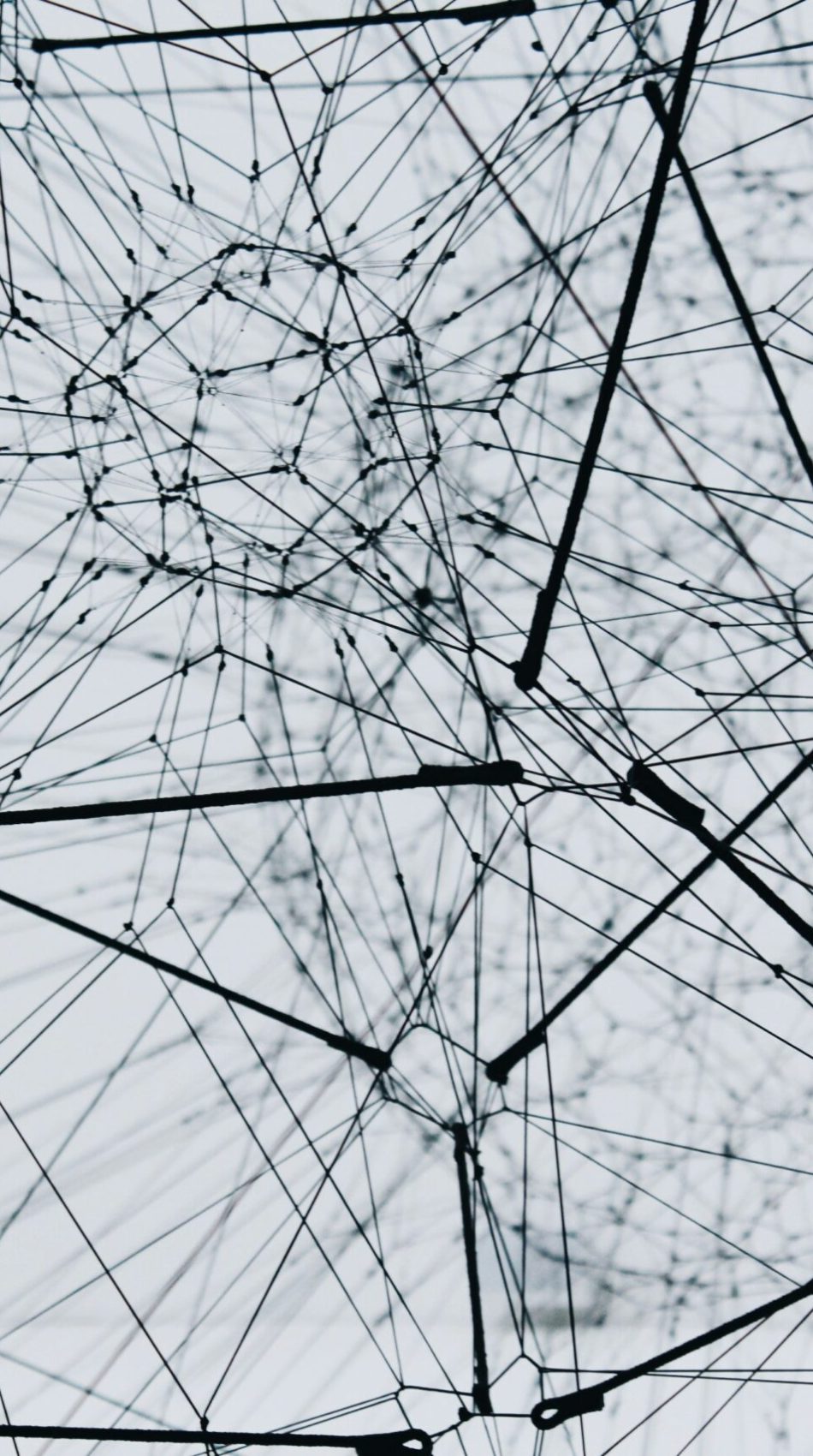 alina-grubnyak-ZiQkhI7417A-unsplash